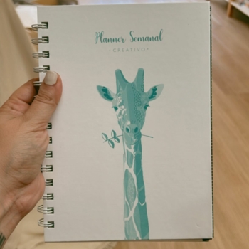 Agendas mágicas/Planner creativo