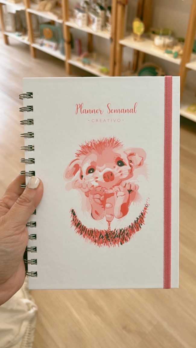 Agendas mágicas/Planner creativo - Imagen 2